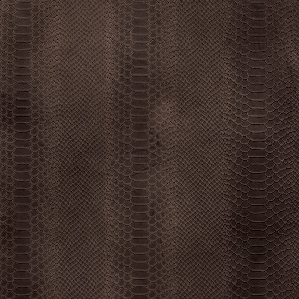Boxer Cobra Choclat