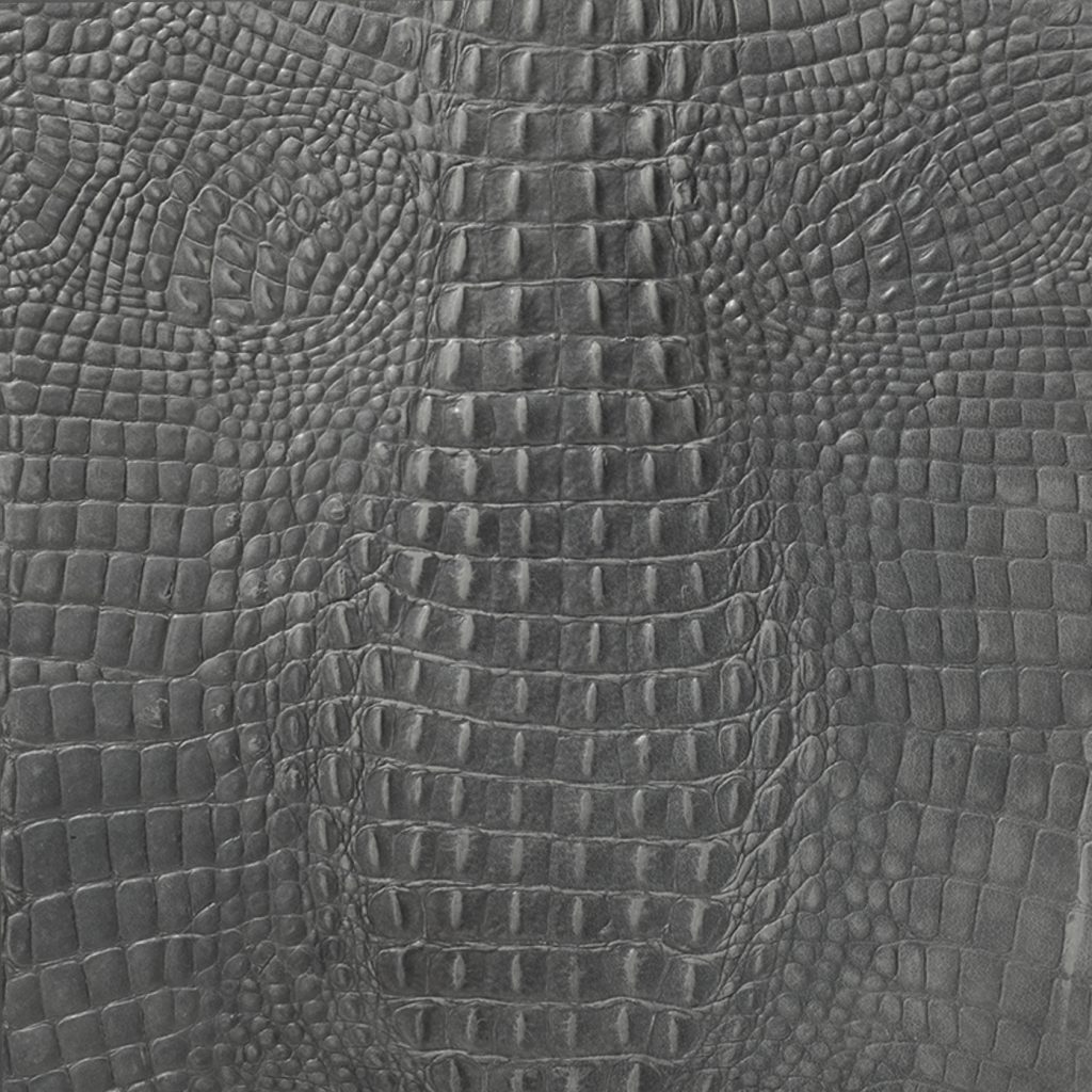 Boxer Kaiman Grey