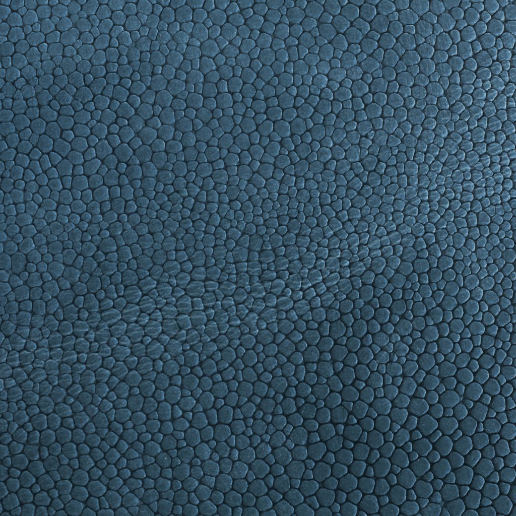 Tundra Ray Petrol